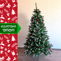 ნაძვის ხე კოსტა-რიკა 180 სმ (GH-180)