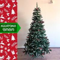 ნაძვის ხე ალასკა 270 სმ (VB-270)