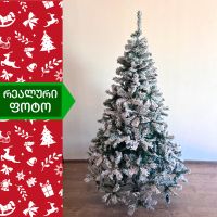Christmas tree Bavaria 150 cm (ZX-150)