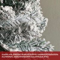 ნაძვის ხე ბავარია 210 სმ (ZX-210) 