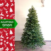 ნაძვის ხე კოლორადო 240 სმ (AB-240)