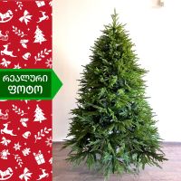 ნაძვის ხე ჰიმალაი 270 სმ (BC-270)