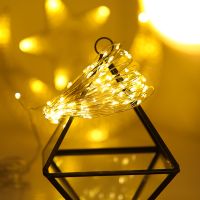 საშობაო განათება OT თბილი SPILENZI 20 M (C-5)