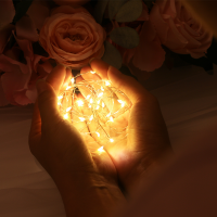 საშობაო განათება OT თბილი SPILENZI 20 M (C-5)