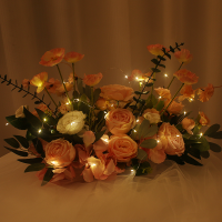 საშობაო განათება OT თბილი SPILENZI 20 M (C-5)