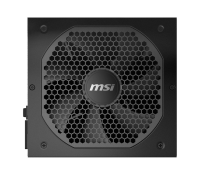 Power supply-MSI MPG A850GF