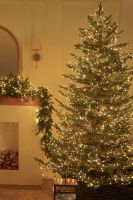 ნაძვის ხის თბილი განათება 25 მეტრი, 1000 ნათურა