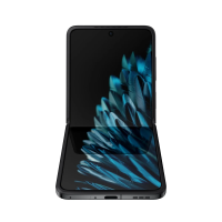 OPPO Find N2 Flip Black Foldable LTPO AMOLED