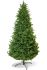 Subalpine Fir Subalpine Fir 240 cm