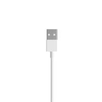 Xiaomi Mi 2-in-1 USB Cable (Micro USB to Type C) 30 cm (SJX01ZM)